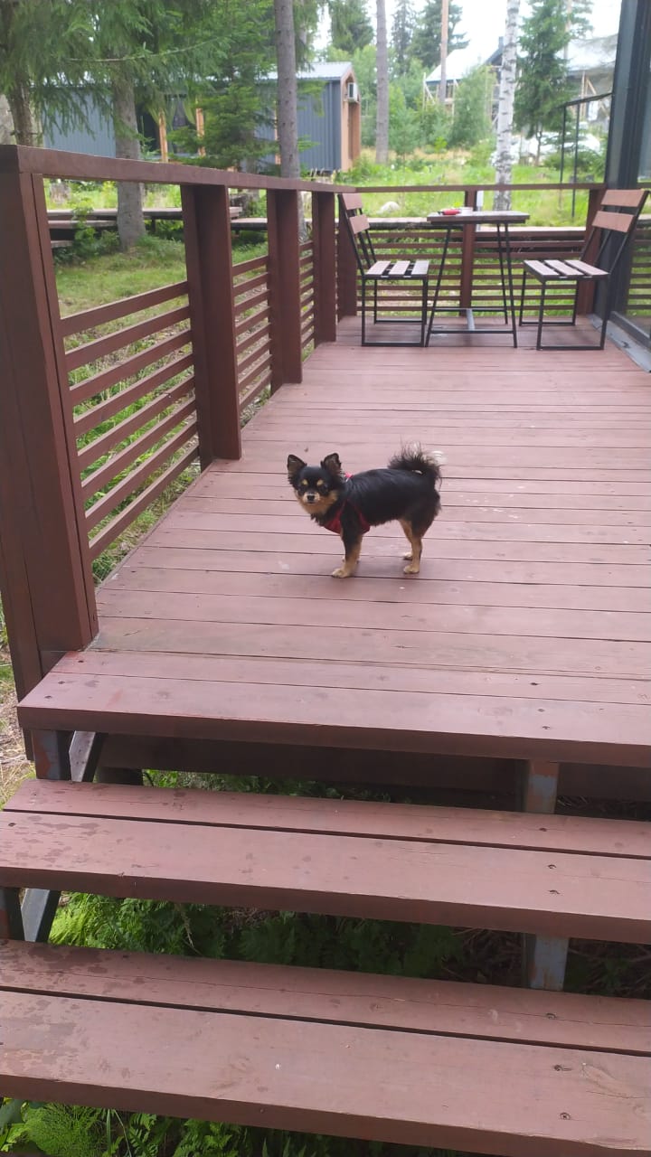 Фото Klever House, Стеклянный Ручей