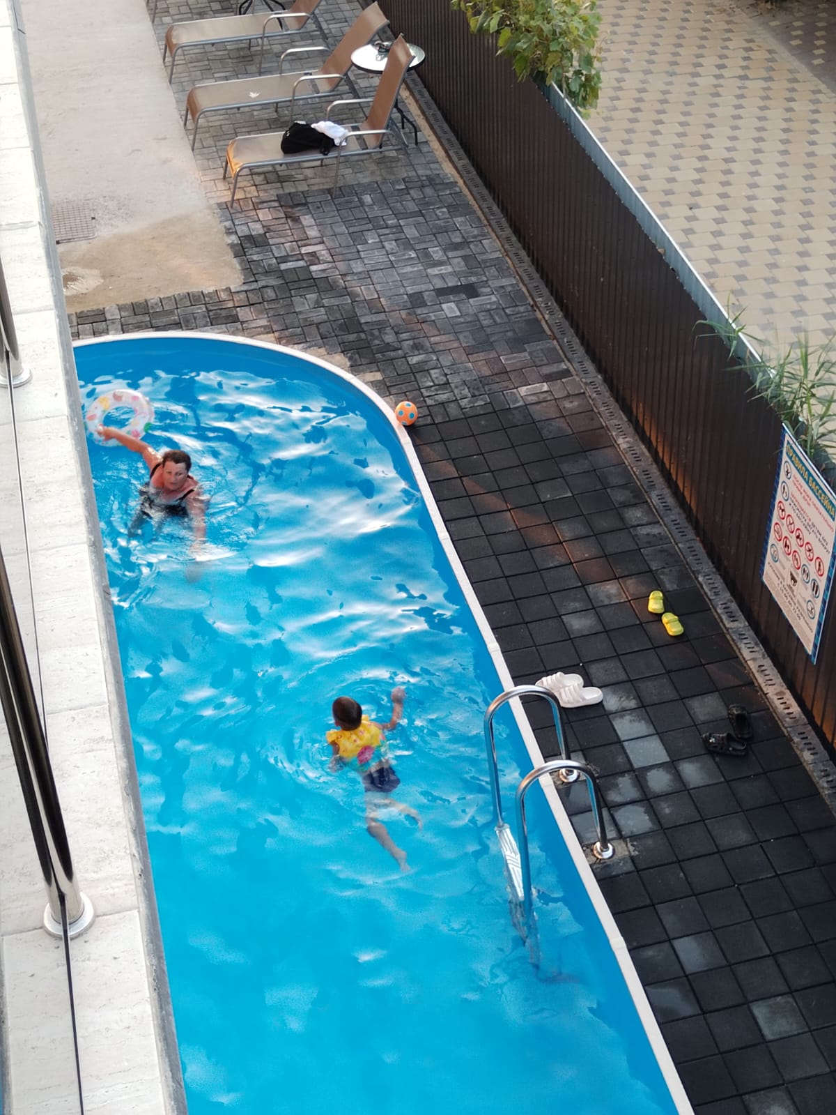 Фото Филоксения