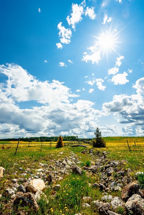 Фото Королевская охота