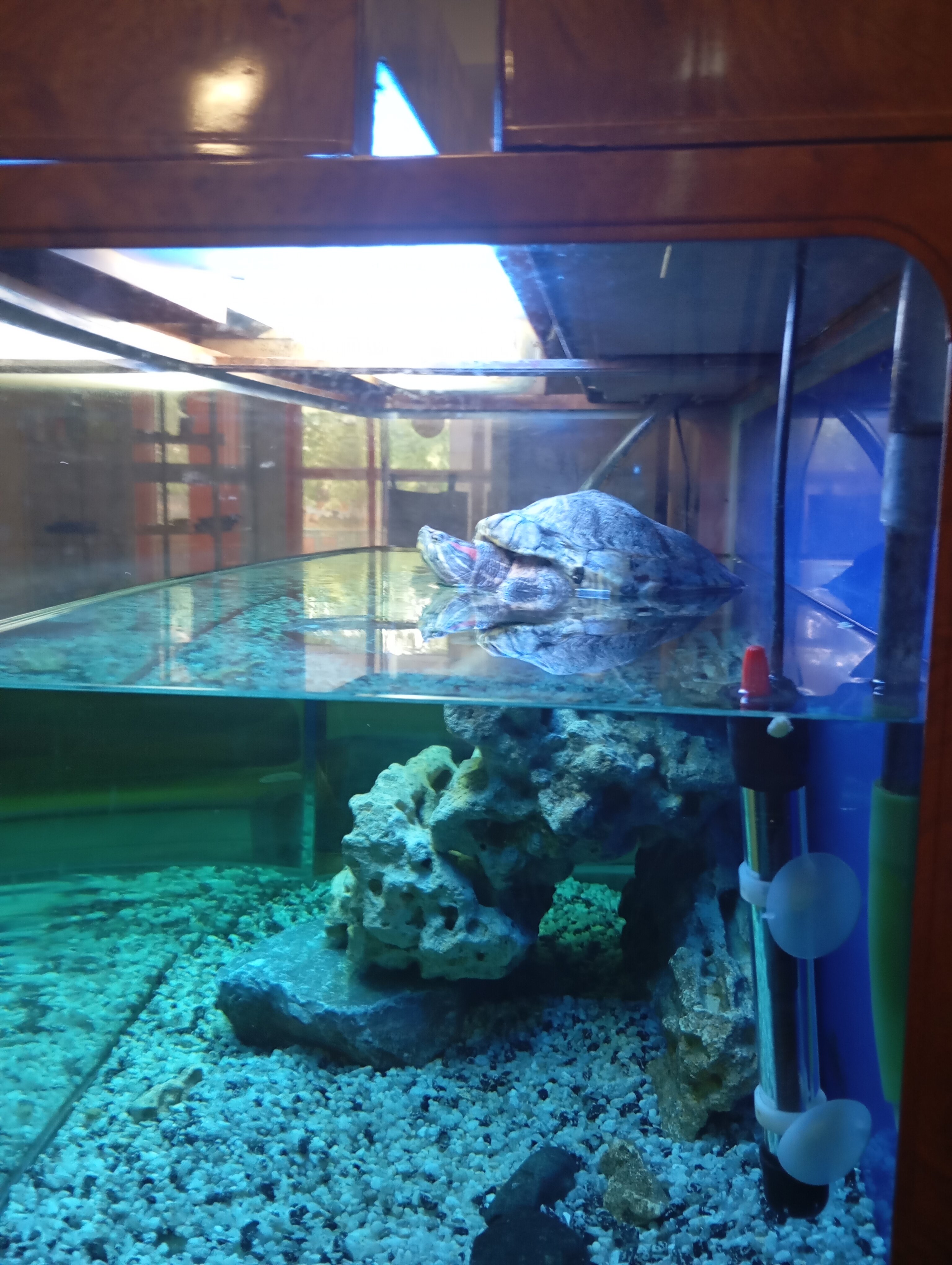 Фото Отель19