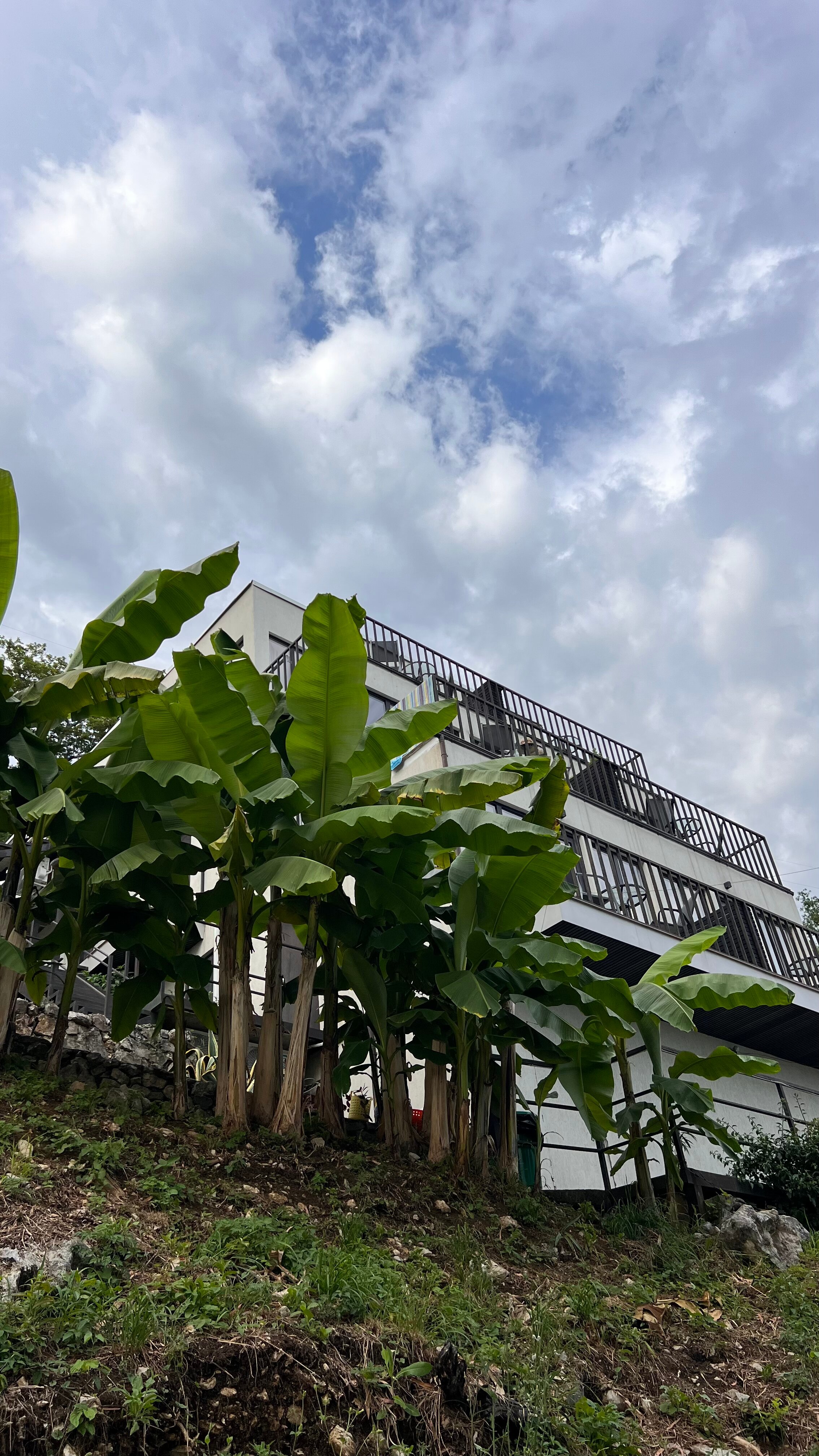 Фото Белый Сад