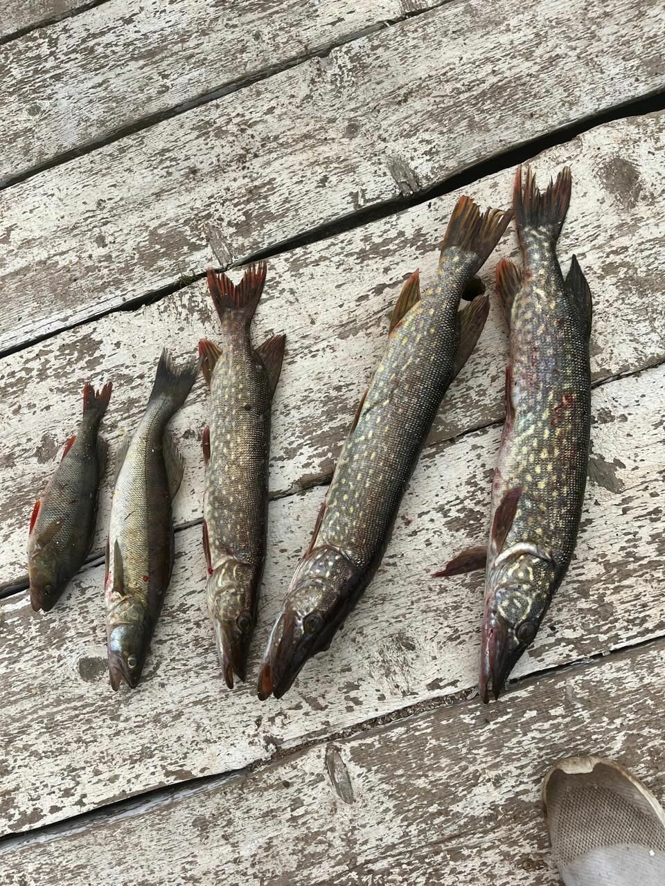 Фото На берегу четырех озер