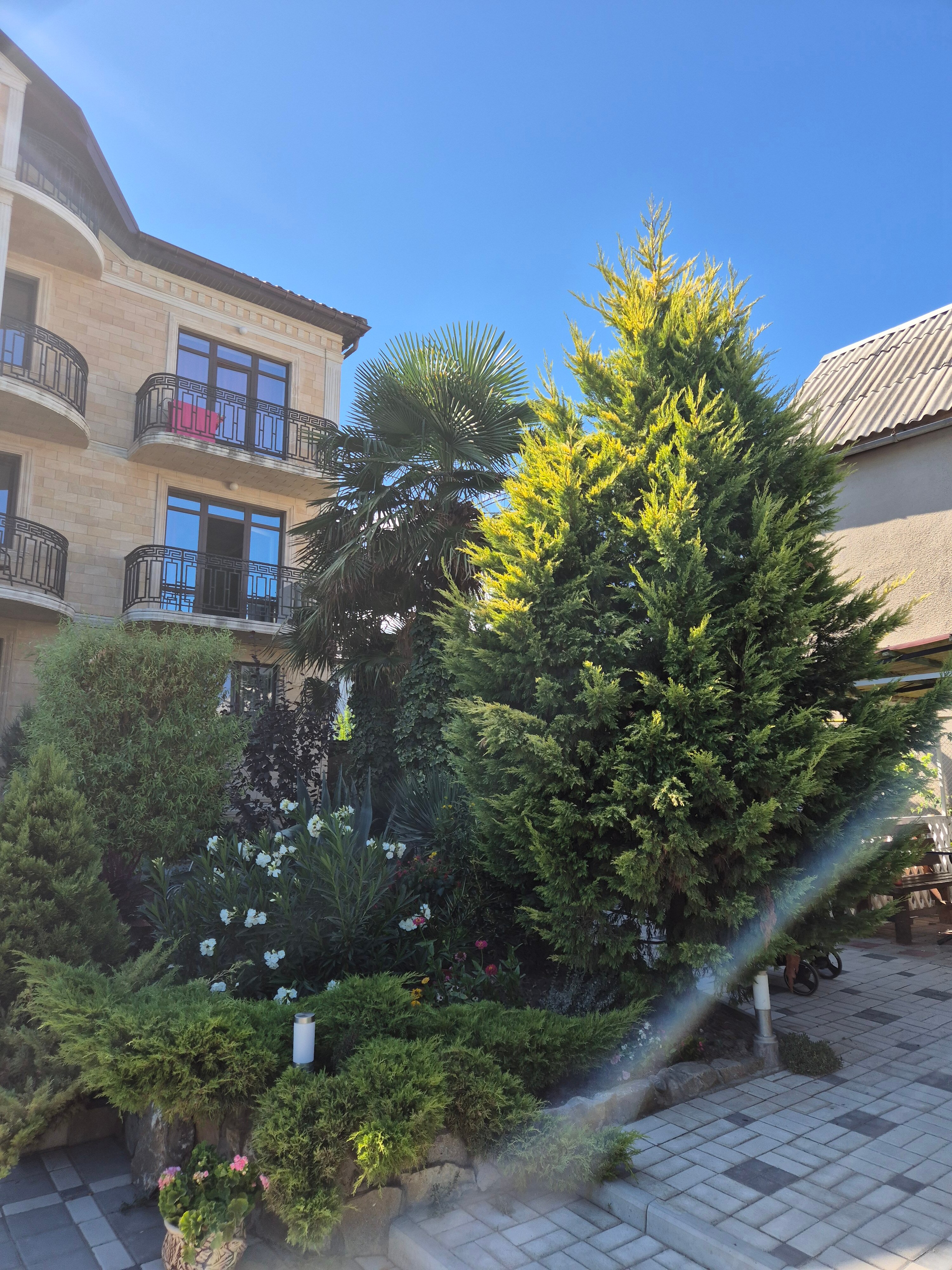 Фото Витязь