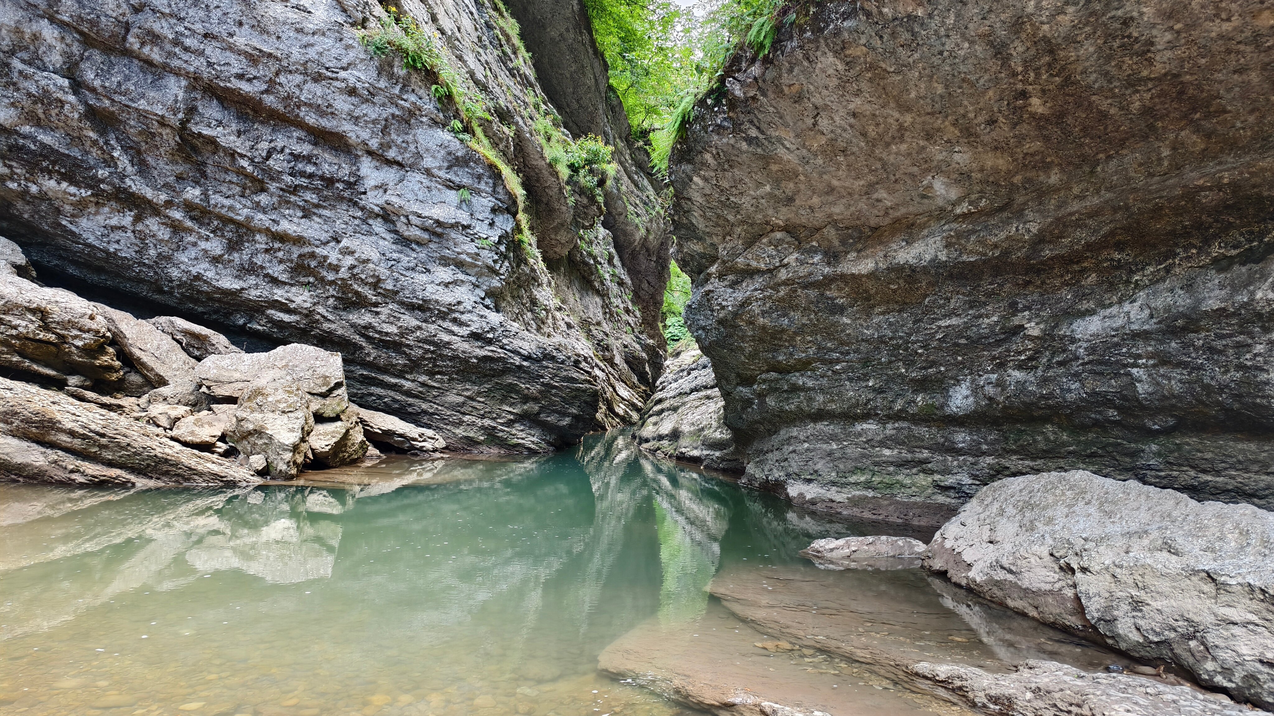 Фото Солярис