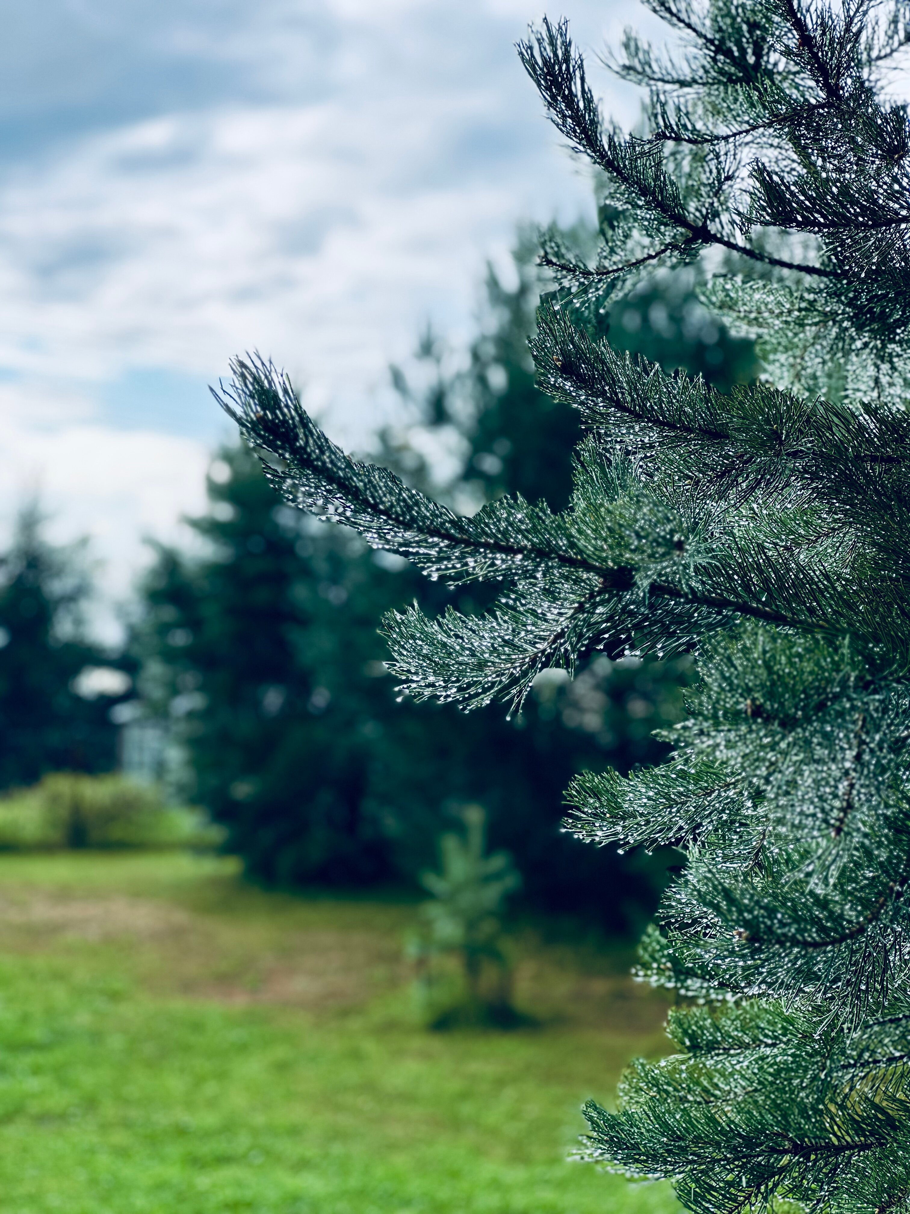 Фото Asilan Talo