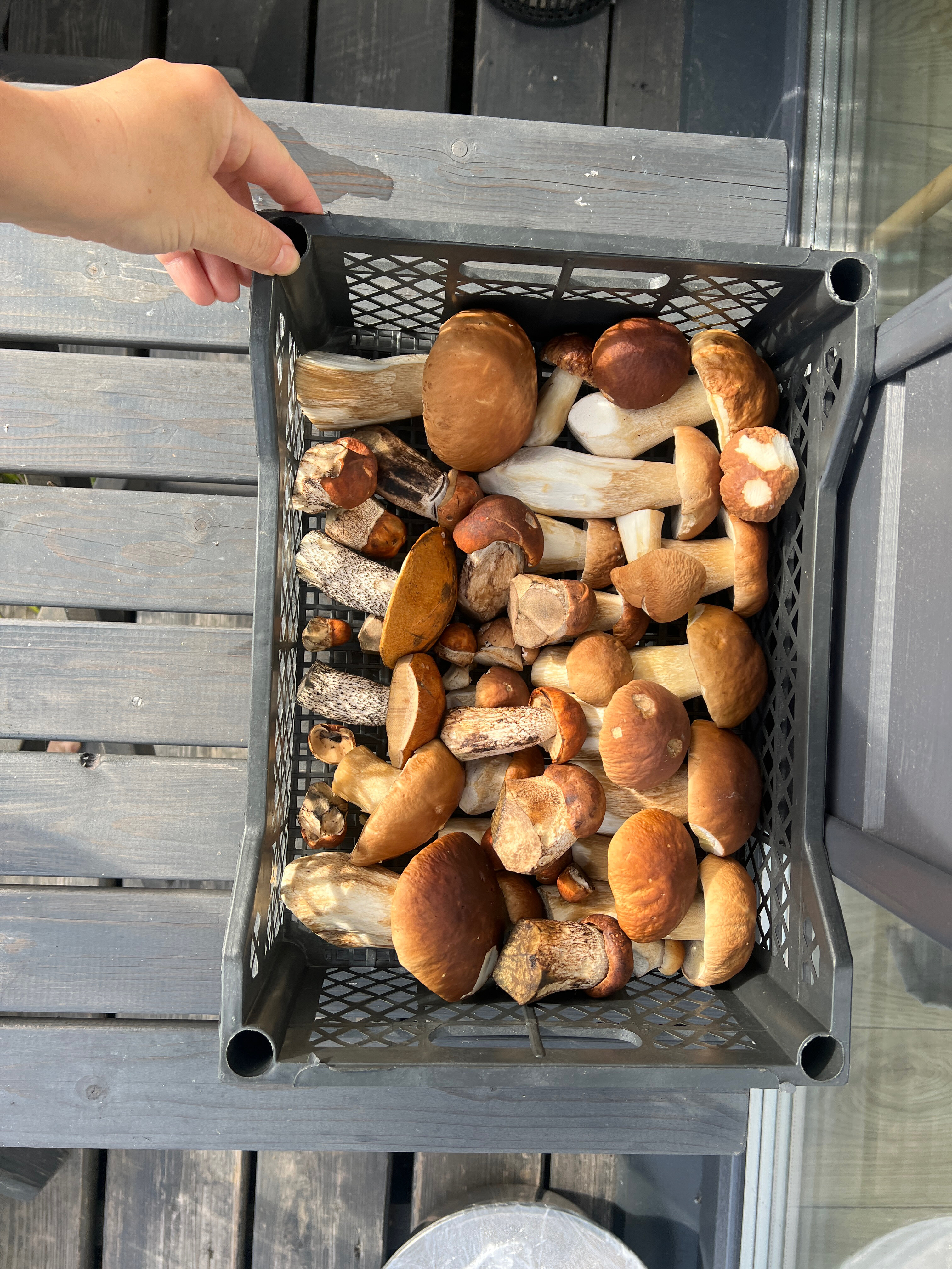 Фото Aframe на Валдае