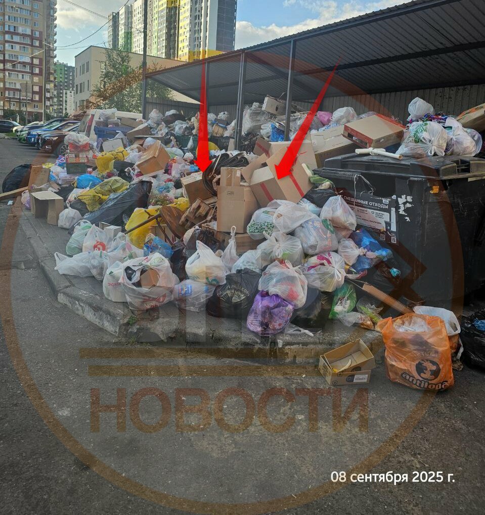 Trash and garbage disposal area Trash and garbage disposal area, Moscow and Moscow Oblast, photo