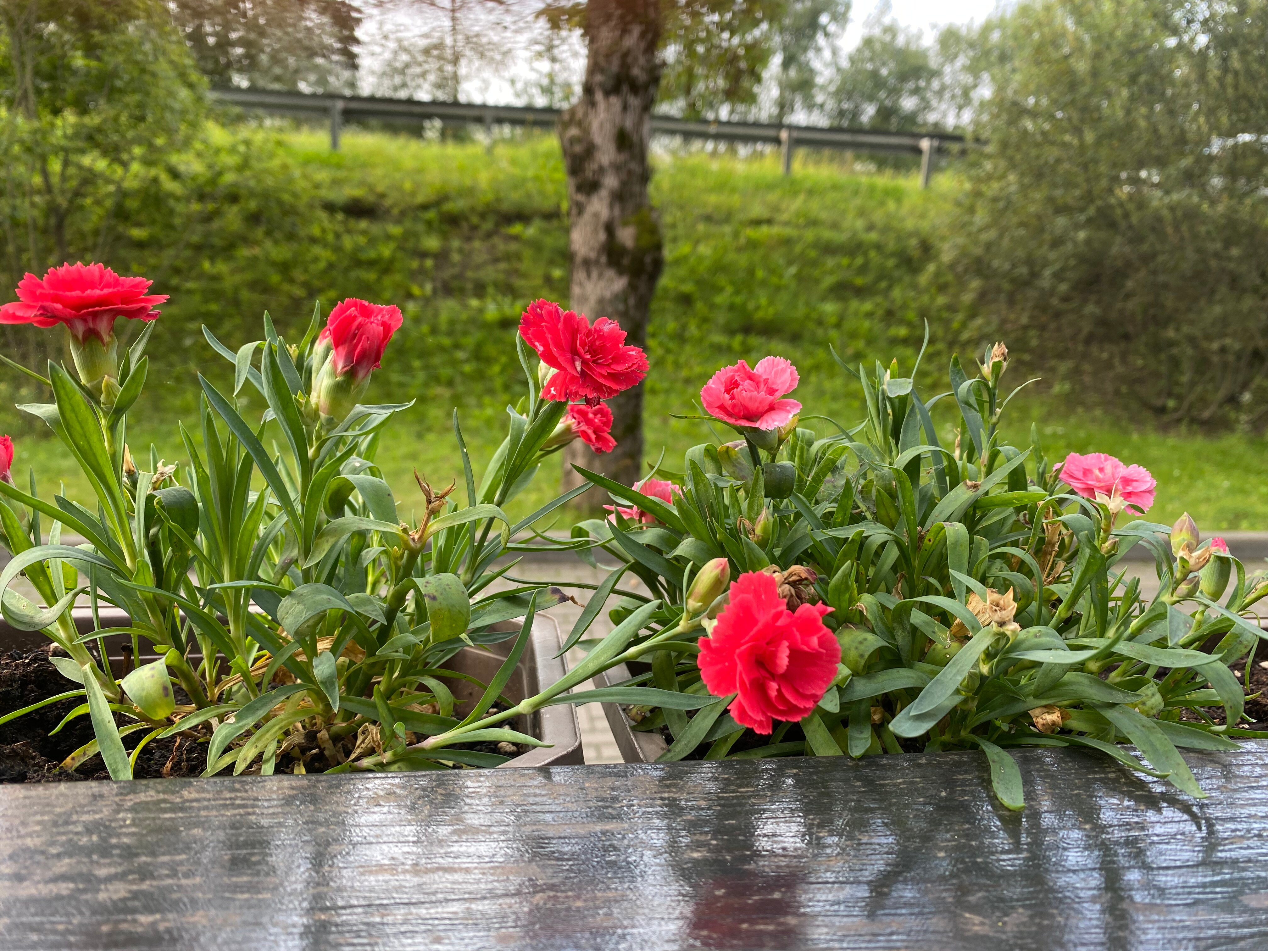 Фото М-Отель