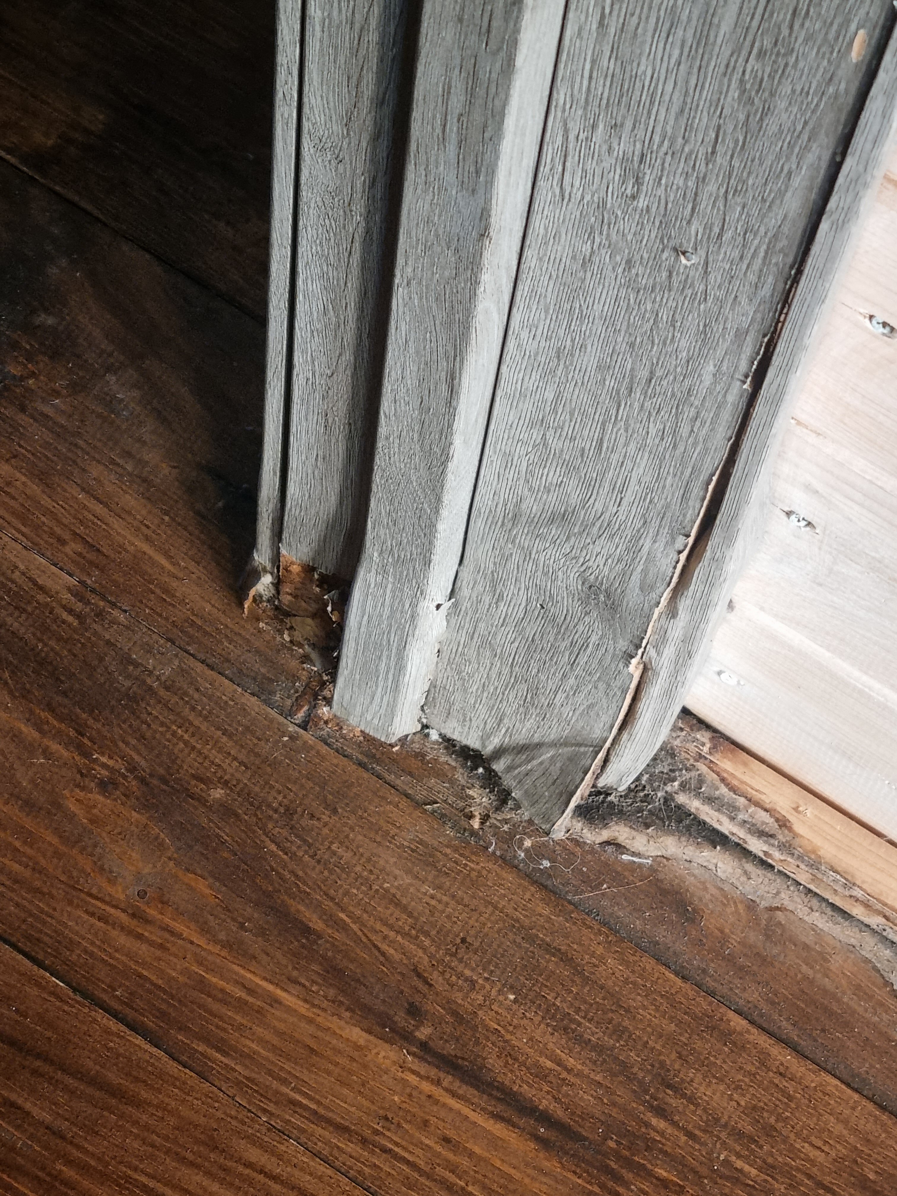 Фото Petro Castle