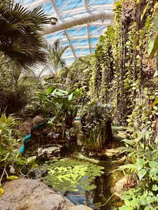 Konya Tropical Butterfly Garden (Konya, Selçuklu, İsmail Kaya Cad., 244), zoo