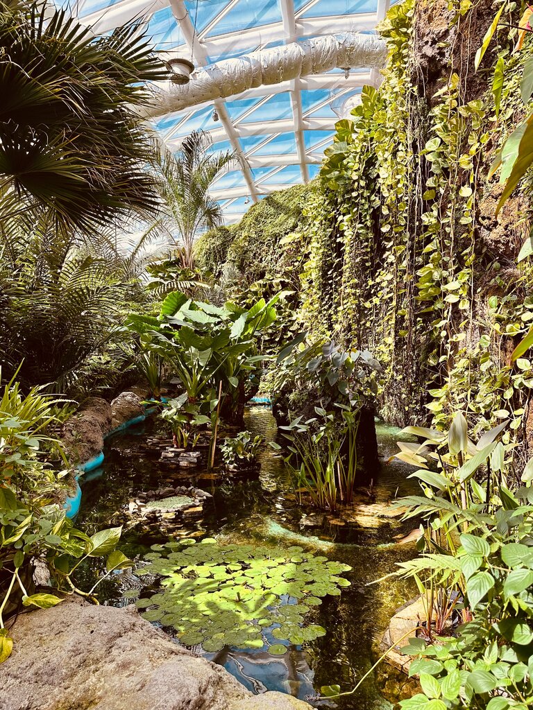 Zoo Konya Tropical Butterfly Garden, Konya, photo