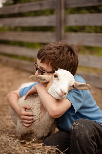 Иное жильё Арт Хаус в Калужской области