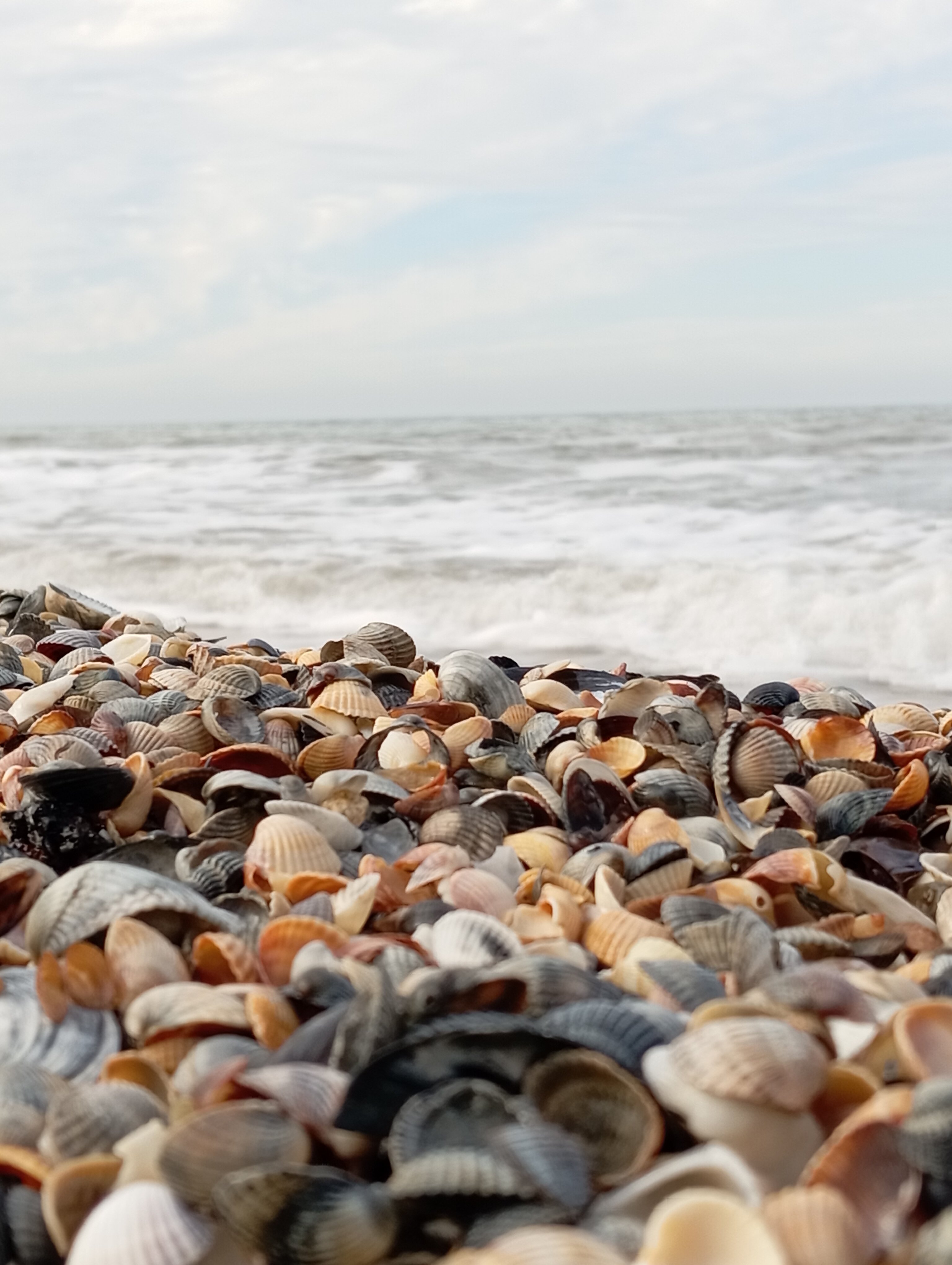 Фото Домик у самого синего моря