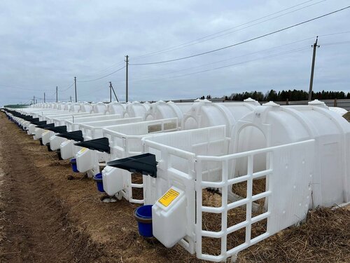 Ауылдағы орыс әйелдері бейнеленген порно