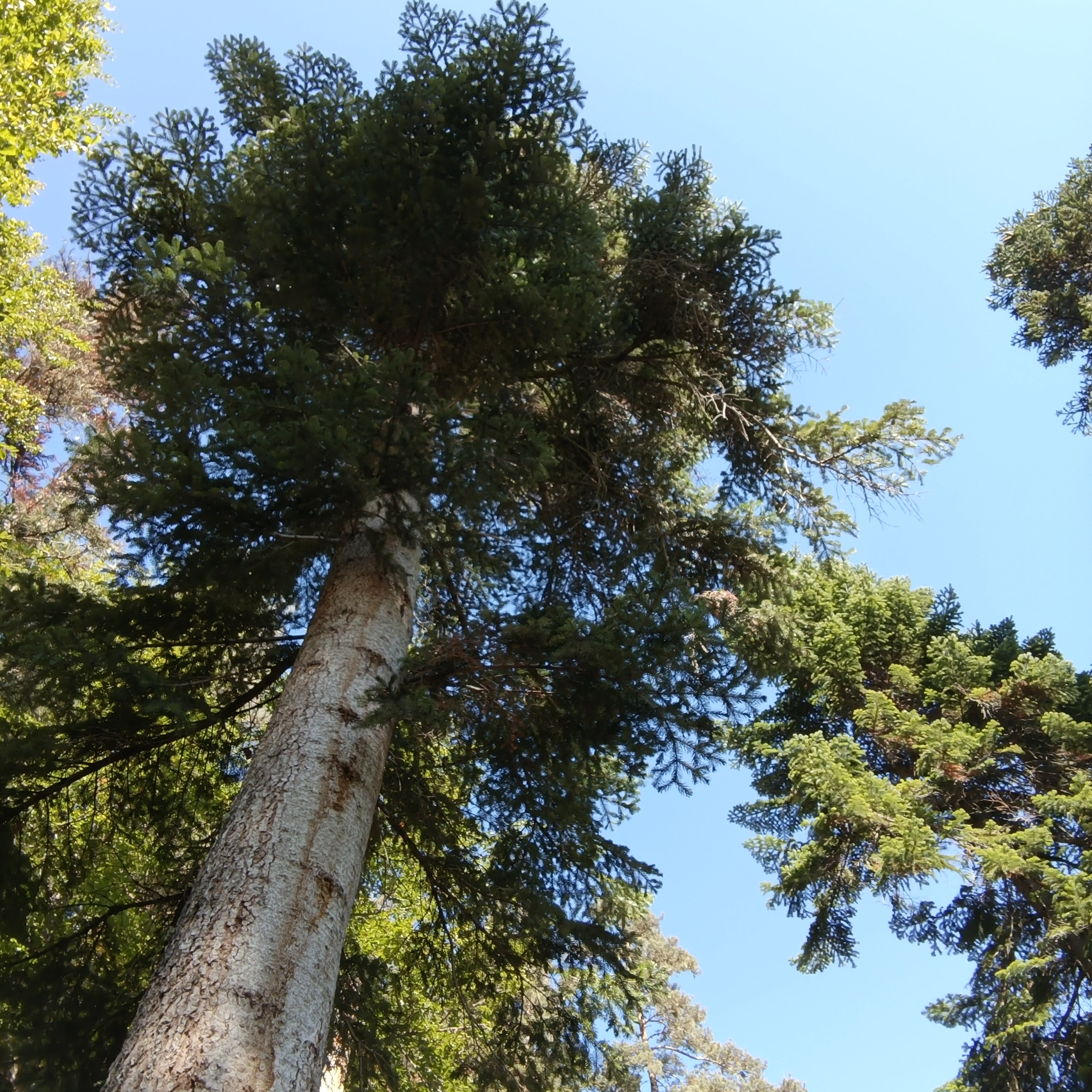 Фото Орлиное Поместье
