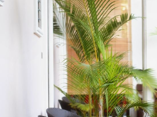 Фото Pakhongthong Villa