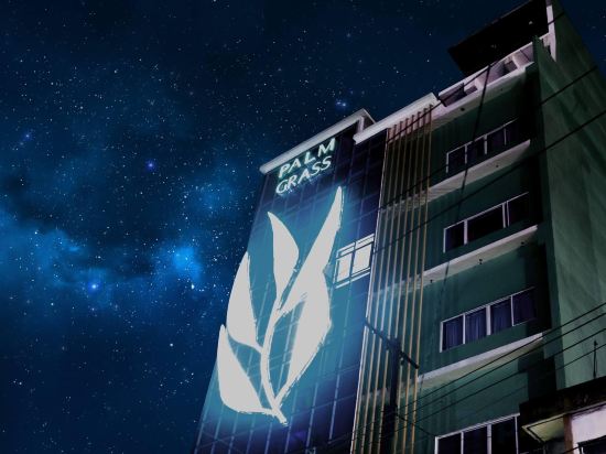 Фото Palm Grass Hotel