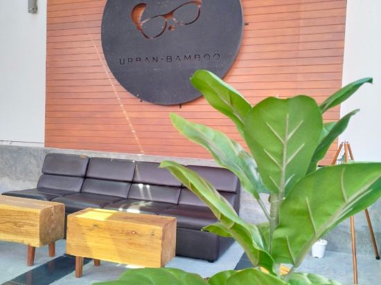 Фото Urban Bamboo
