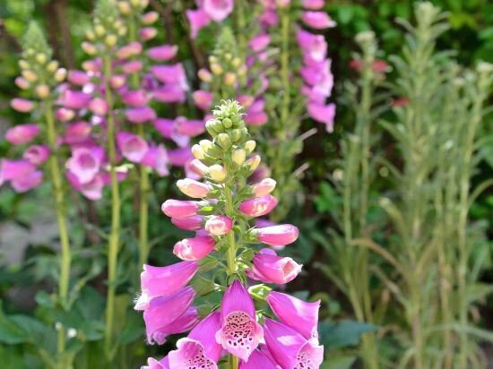 Фото Ibis Budapest Citysouth