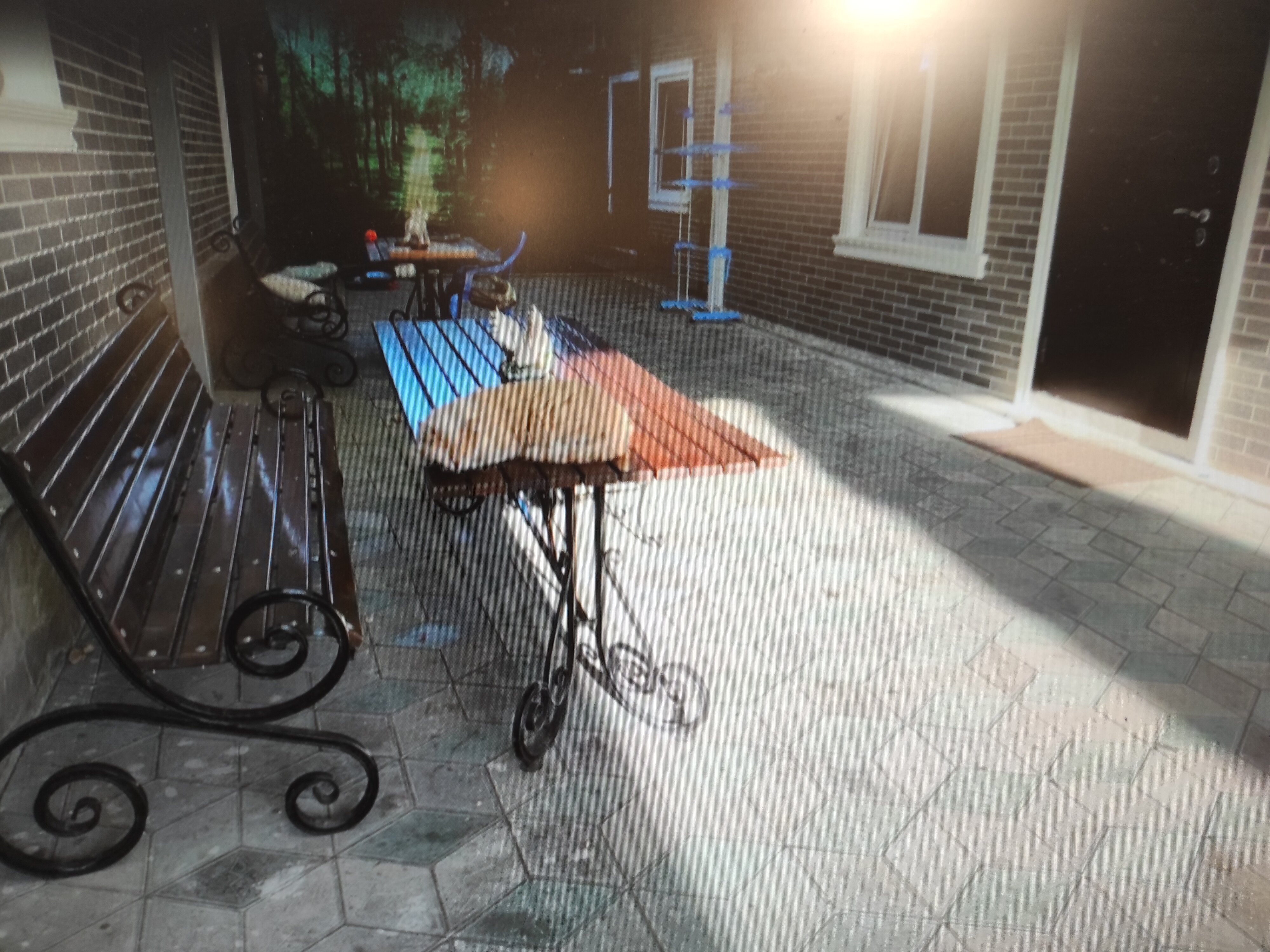 Фото У Нонны