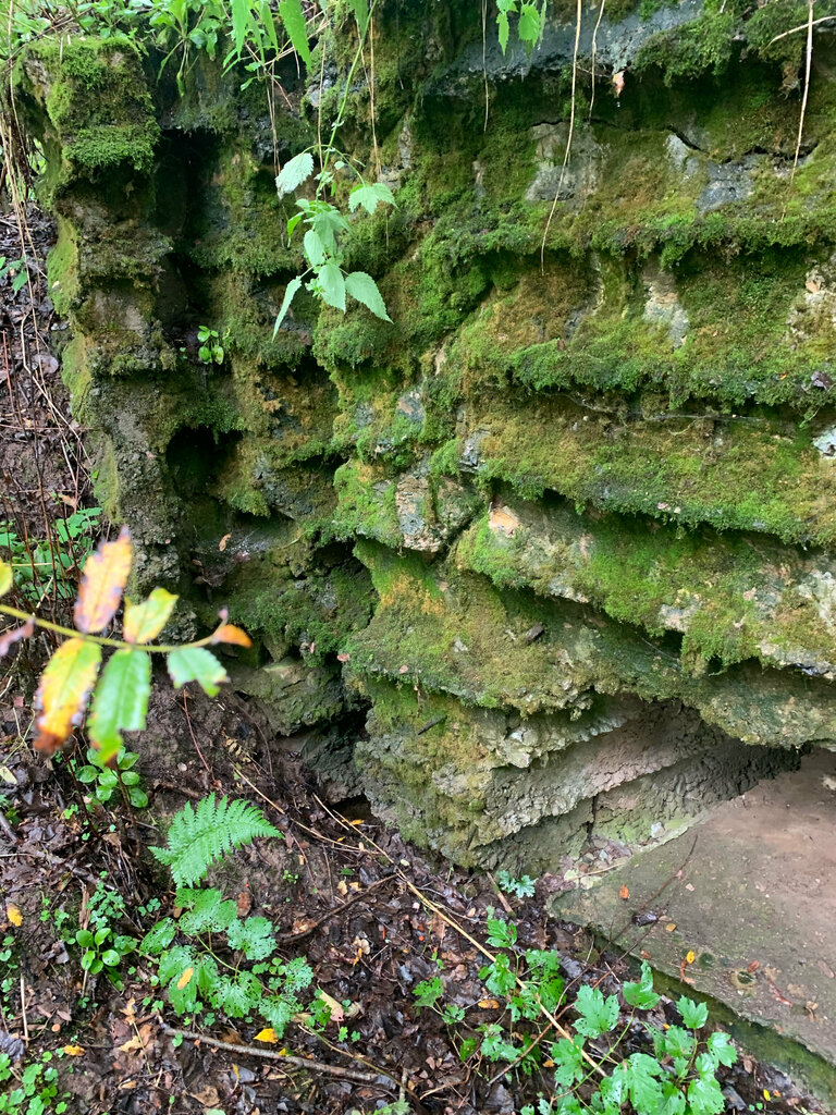 Landmark, attraction Вяземский УР времён Великой Отечественной войны, ДОТ, Smolensk Oblast, photo