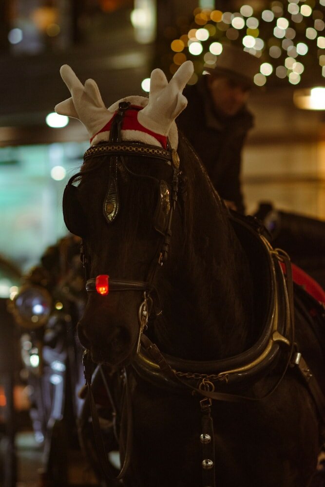 Фото Jacobs Inn Hostel