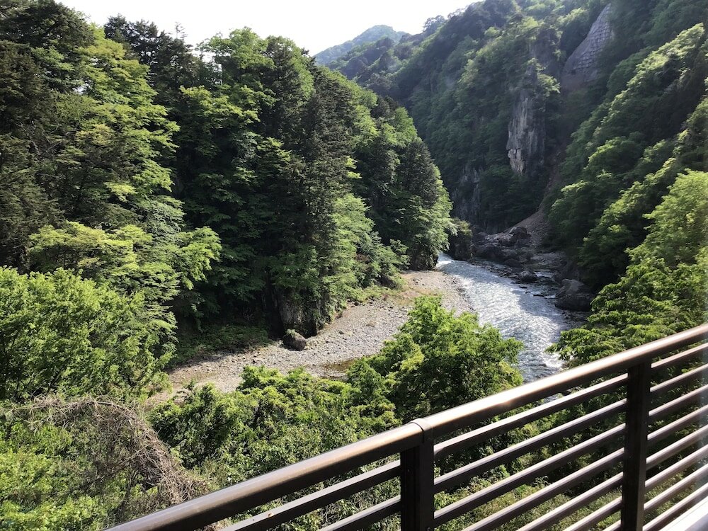 Фото Hotel New Ohruri