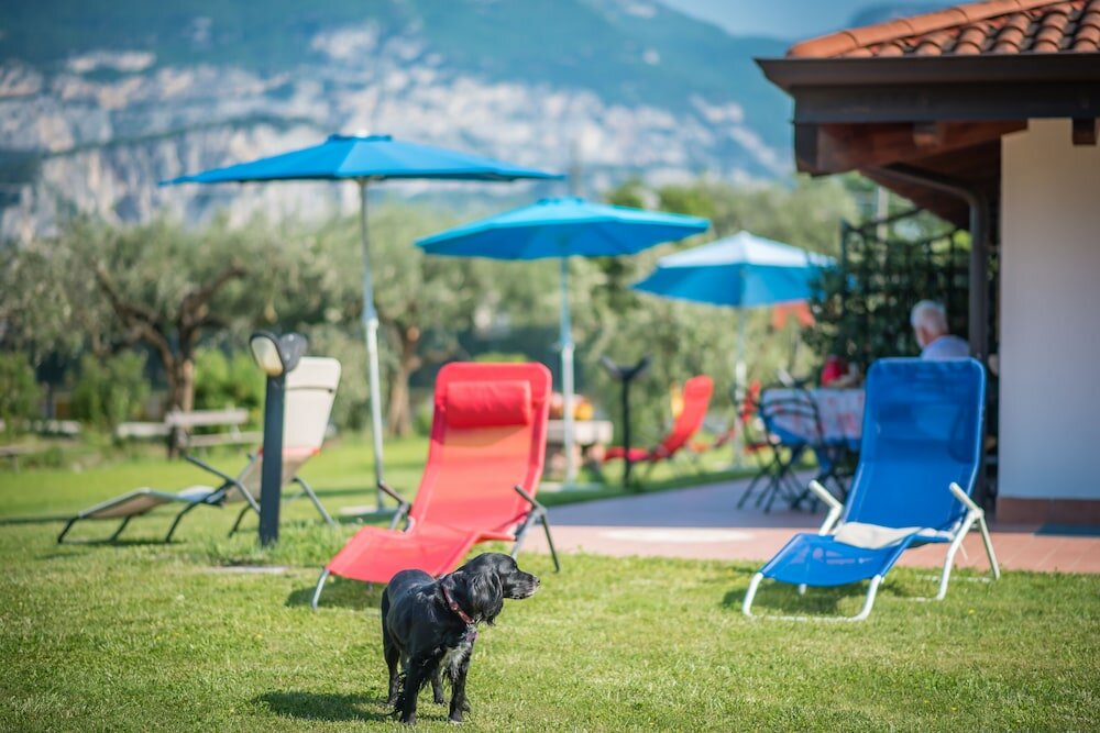 Фото Agriturismo Trefrutti