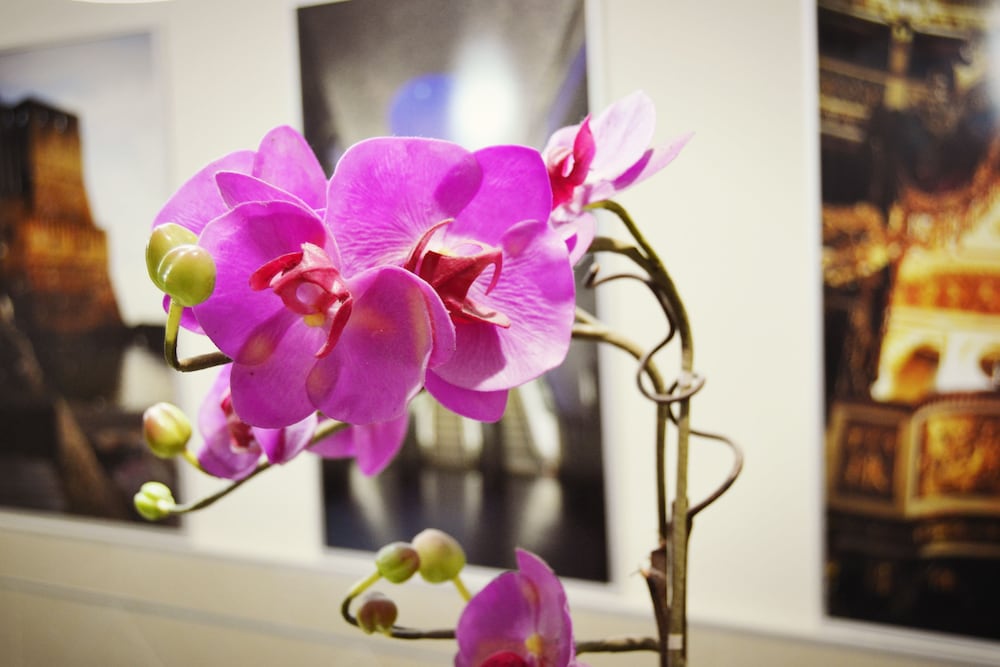 Фото Colombo Naples