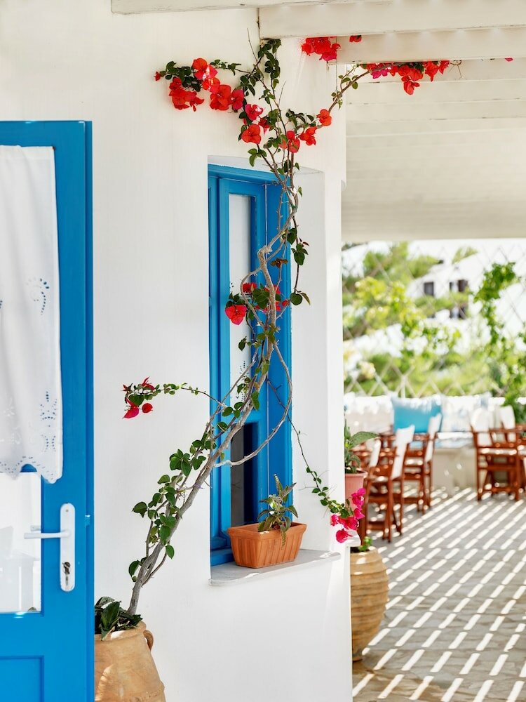 Фото Aloni Hotel