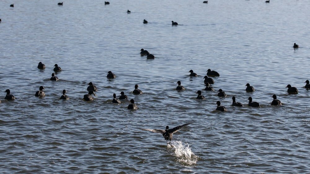 Фото Hotel Indigo Diqing Moonlight City, an Ihg Hotel