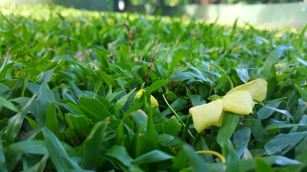 Фото Hotel Sisilthera