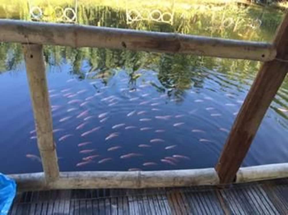 Фото Water Palm Villas