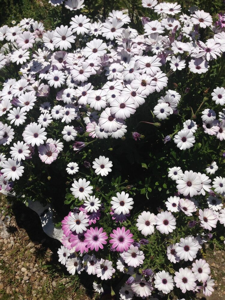 Фото Hotel Miraggio