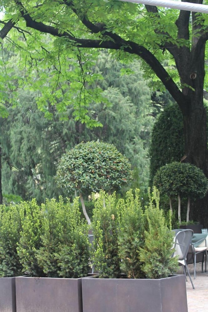 Фото Scala-Stiegl