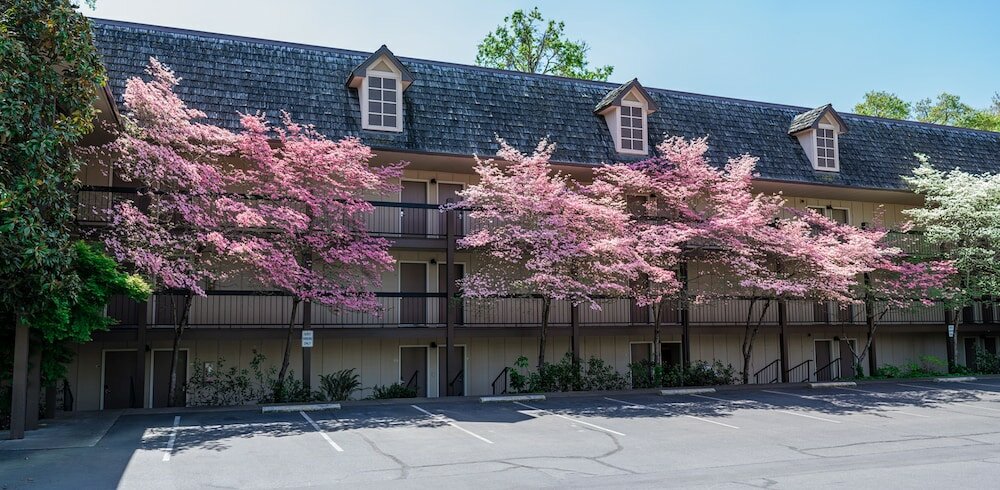 Фото Riverside Inn