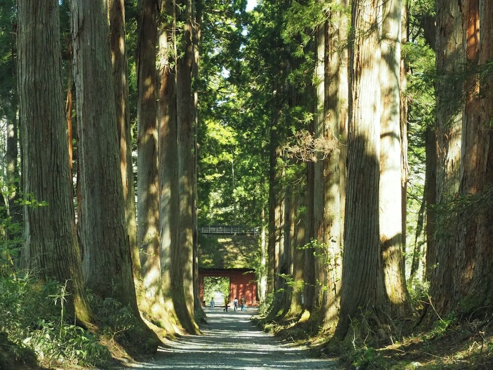 Фото Toyoko Inn Nagano Eki Zenkoji-Guchi