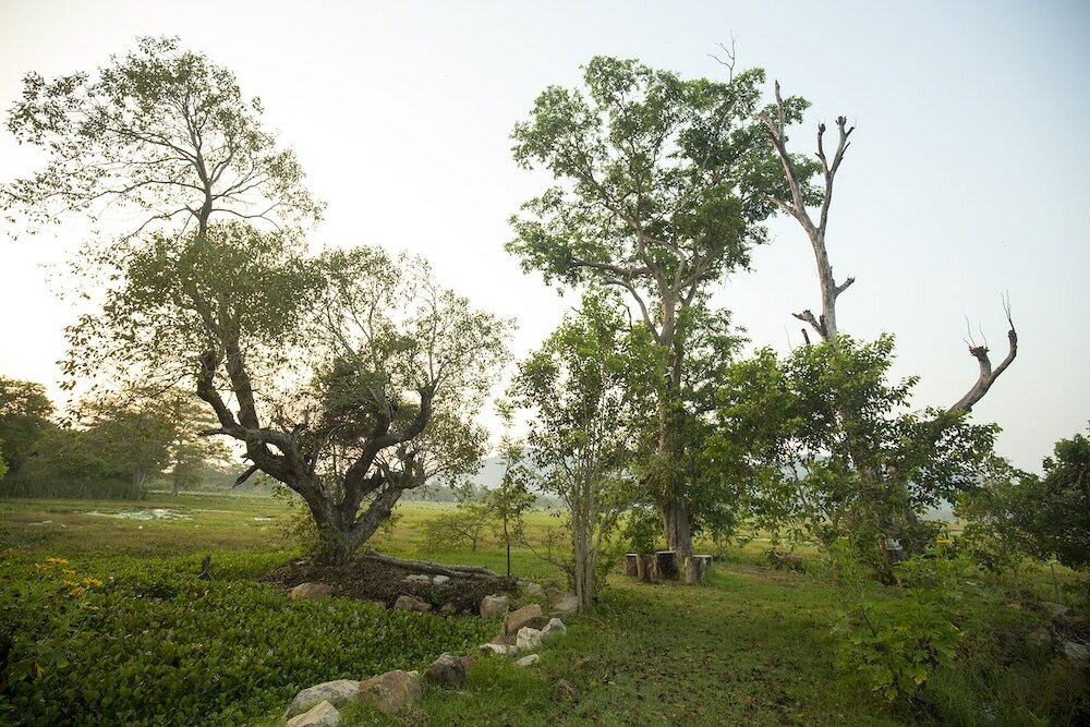 Фото Grand Tamarind Lake