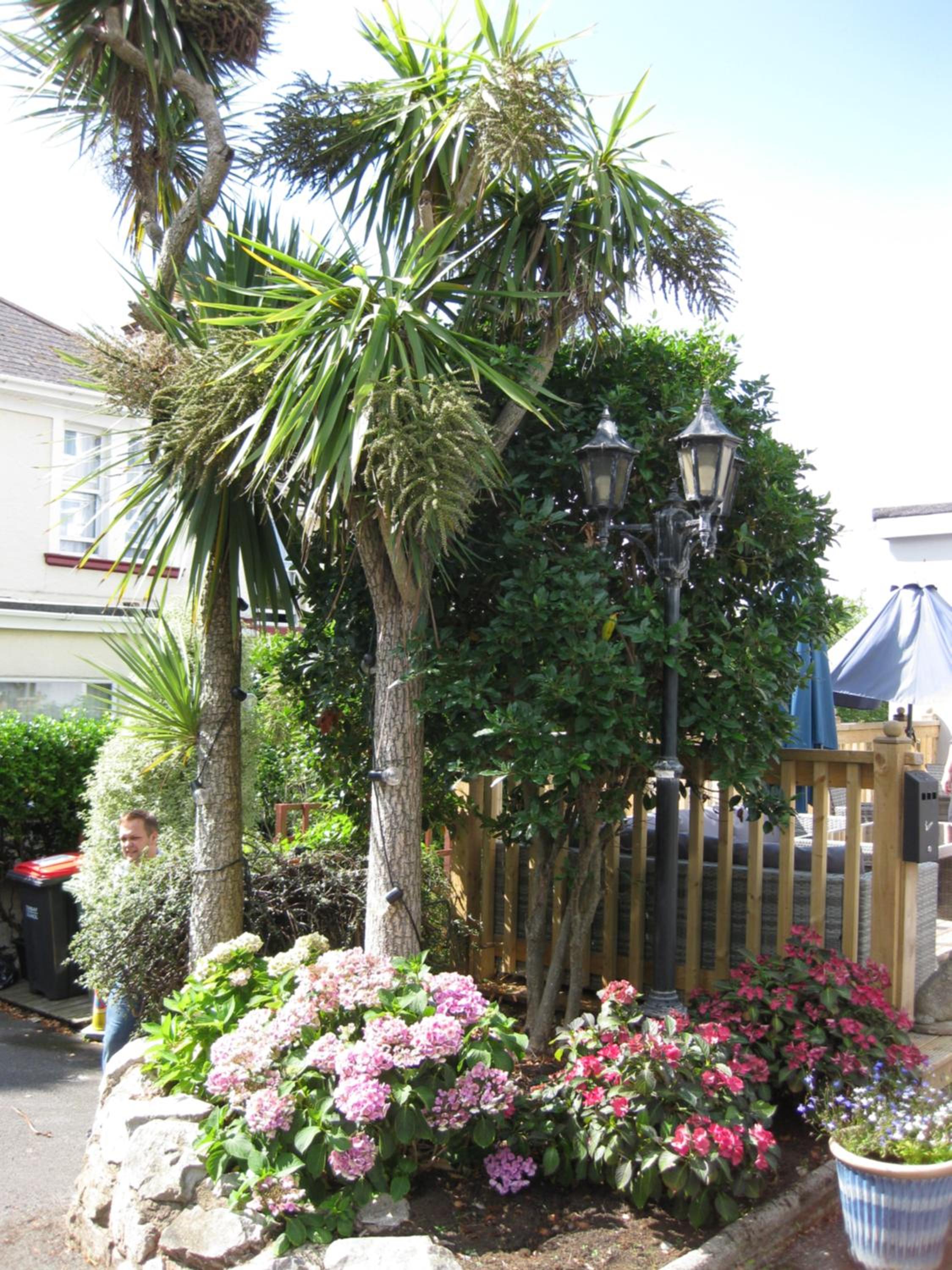 Фото The Westgate