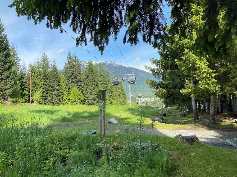 Фото Blackcomb Springs Suites by Clique