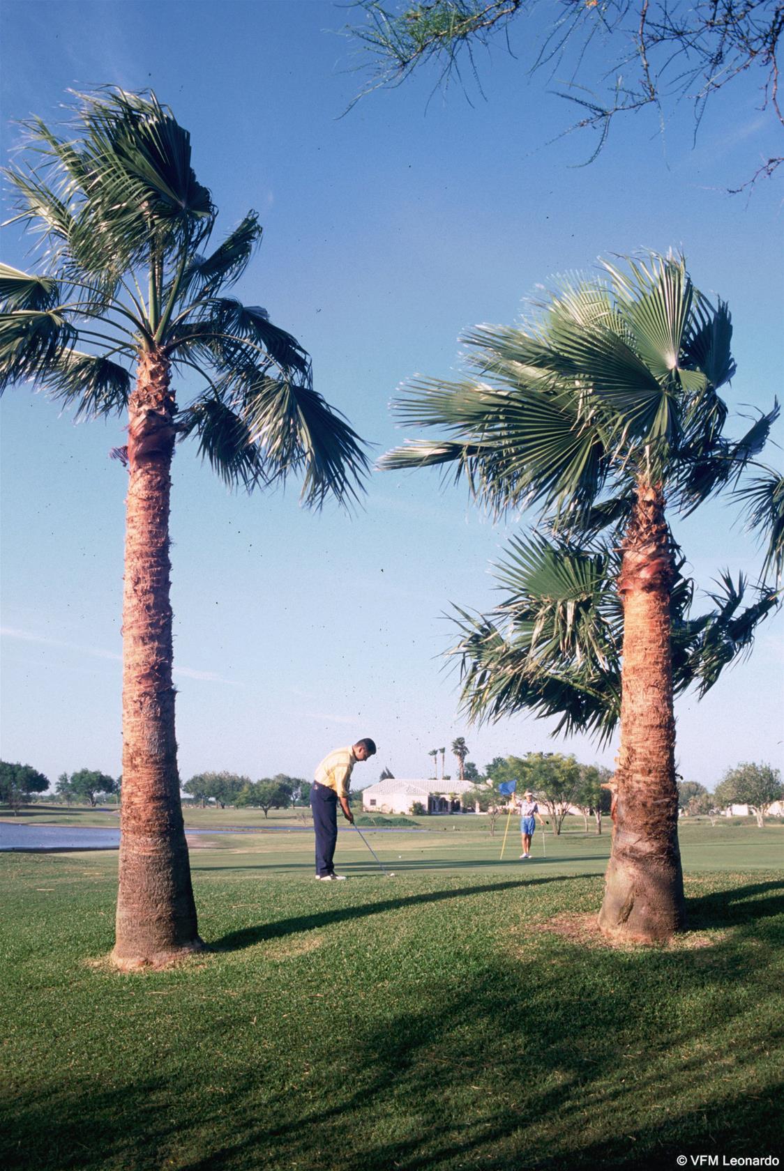 Фото Rancho Viejo Resort and Country Club