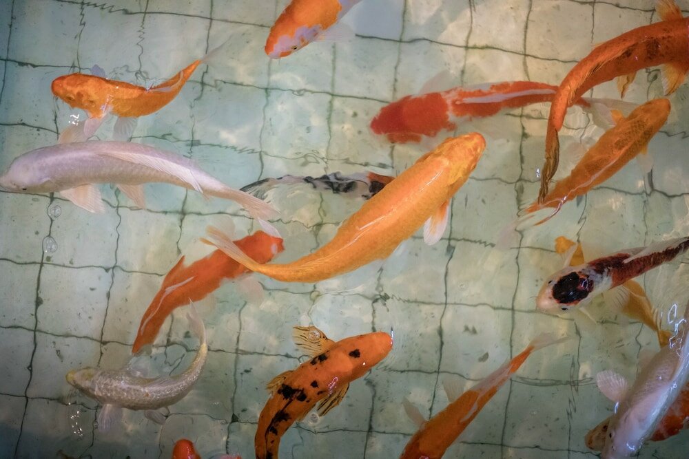 Фото Wangtai Hotel