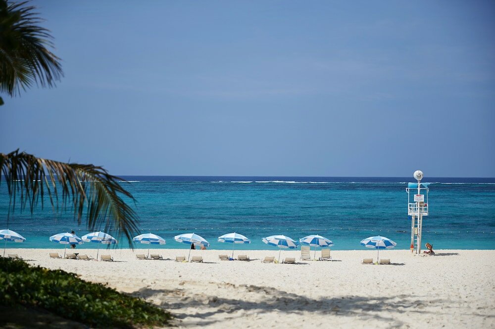 Фото Palace in Moon Beach