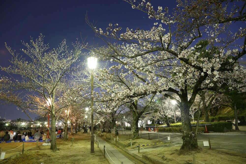 Фото Hotel Monterey Himeji