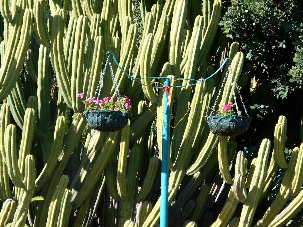 Фото Obesa Lodge