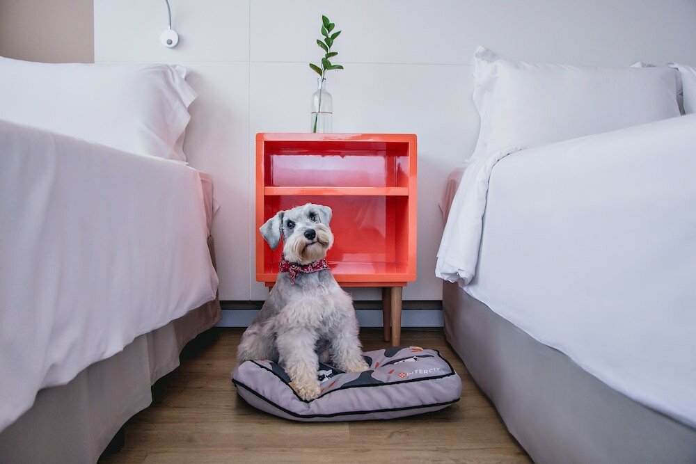 Фото Intercity Curitiba Centro Cívico