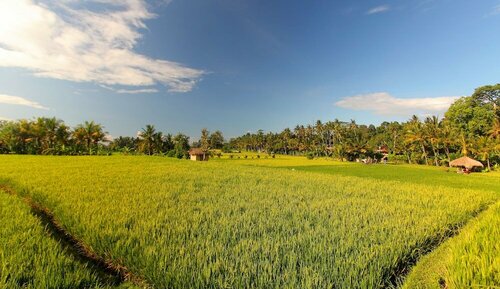 Внешний вид отеля Mathis Retreat Ubud в Кедеватане, фото 3