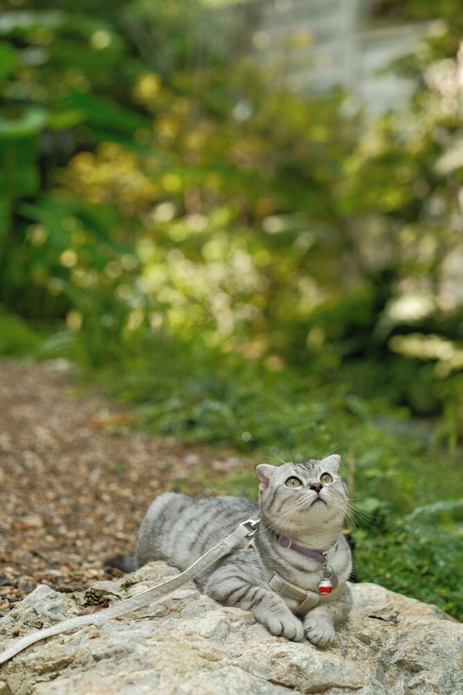 Фото Proud Phu Fah Muang Chiang Mai