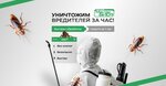 Nauchno-proizvodstvennaya firma MasterBio+ (Naberezhnaya Privolzhskogo Zatona Street, 14), disinfection, disinsection, deratization