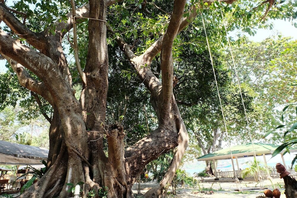 Фото Vongdeuan Resort